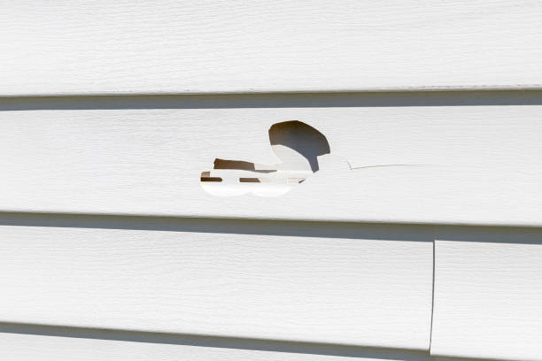 Best Weatherproofing and Sealing  in Holt, AL