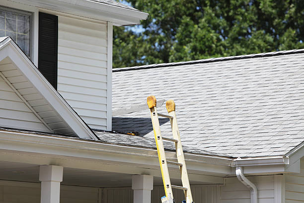 Best Insulated Siding Installation  in Holt, AL