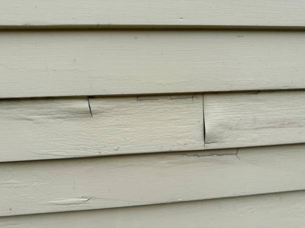 Best Custom Trim and Detailing for Siding  in Holt, AL